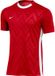 Nike Dri-fit Challenge V T-shirt Met Korte Mouwen Rood 2XL Man