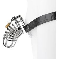 Fetish Fantasy Pipedream Chastity Belt