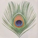 Apple XTC - Apple Venus Vol. 1 (CD)