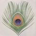 Apple XTC - Apple Venus Vol. 1 (CD)