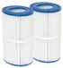 Merkloos Whirlpool 2 Vervangende Zwembadfilters