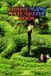 Challenging Maze Puzzle Book for Adults: Advanced Maze Challenges to Improve Focus, Logic, Problem-Solving Skills, and Mental Agility