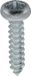 Plaatschroeven Roestvrij Staal A4 Cilindrisch Gebogen Pozidrive 3,5 mm x 16 mm DIN 7981 Zink Wit 55 stuks