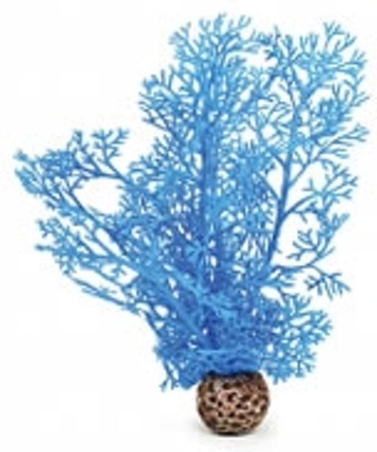 biOrb hoornkoraal blauw - klein