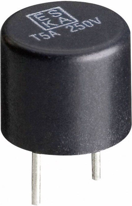 MultiFit ESKA 885024 Printzekering Radiaal bedraad Rond 5 A 250 V Snel -F- 1 stuk(s)