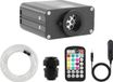 Plafonnier auto OEM, effet ciel étoilé scintillant, technologie LED fibre optique, 550 pièces 0,75 mm 3 m, prise UE, couleur : RVBW (14 couleurs), matériau : rotin