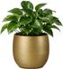 Mica Decorations Plantenpot - keramiek - goud glans / ribbels - D21 x H22 cm - bloempot Porto