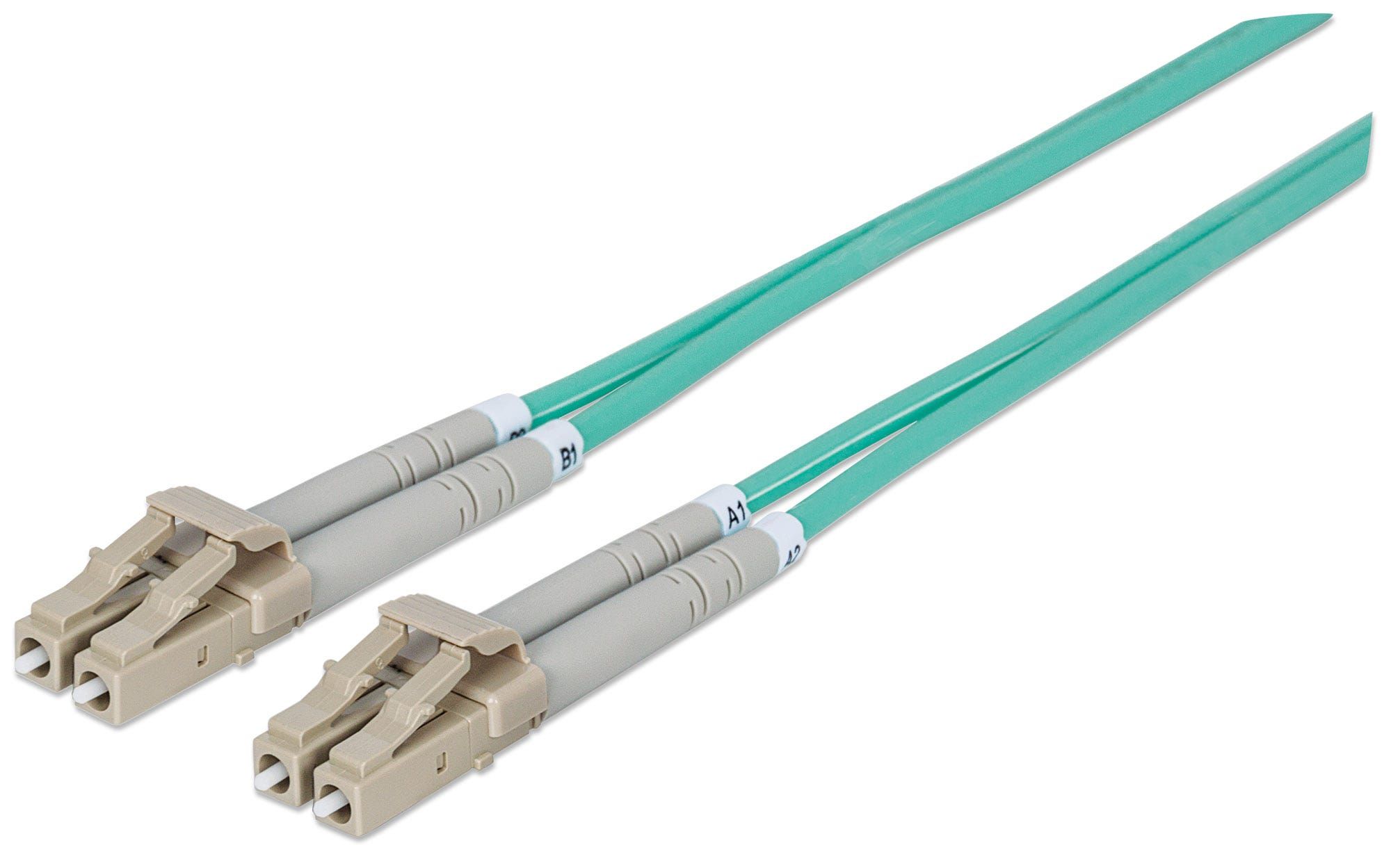 Intellinet 750066