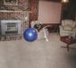 PIAS Nederland Julia Jacklin PIAS Nederland Dont Let The Kids Win (LP)