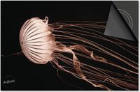 Dietrix Inductie Beschermer - 65x52cm - Under the Sea - Kwal Rood
