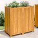 Maison Exclusive - Jardinière en bois massif d'acacia, avec insert, dimensions : 100 x 50 x 100 cm