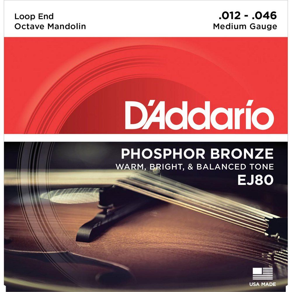 D'ADDARIO EJ80 snarenset voor octaaf mandoline