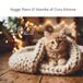 2027/Hygge Hygge Paws 2027/12 Months of Cozy Kittens Desk Calendar
