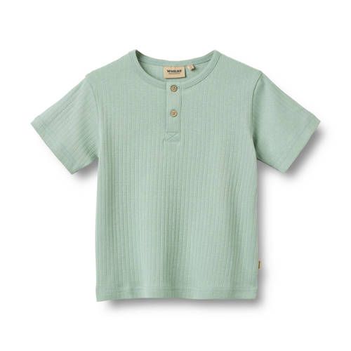 Wheat T-shirt lichtgroen Jongens Katoen Henleykraag Effen - maat 122