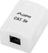 Lanberg Category 5 UTP RJ45 Connector OU5-0001-W White