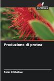 Produzione di protea: DE