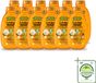 Garnier Loving Blends Shampoo Argan & Cameliaolie - Droog & Dof Haar - 300 ml - Grootverpakking - 12 Stuks