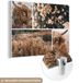 MuchoWow® Peinture sur verre 120x90 cm - Peinture acrylique sur verre - Highlander écossais - Collage - Automne - Photo sur verre - Peintures