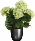 Mica Decorations Hortensia Kunstplant 45 cm Groen in Pot Titanium Grijs