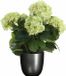 Mica Decorations Hortensia Kunstplant 45 cm Groen in Pot Titanium Grijs