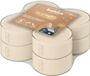Bolsius Maxilicht Silent Night 8 stuks