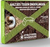 Strijtveen & Wagenaar Aaltjes Tegen Engerlingen 50m²