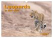 Leopards Calvendo Leopards in the wild (Wall Calendar 2027 DIN A3 landscape), CALVENDO 12 Month Wall Calendar