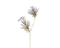 Decoris Tak 8x18x64 paars