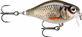 Rapala X-Light Crank Shallow Runner 3.5cm Live Roach