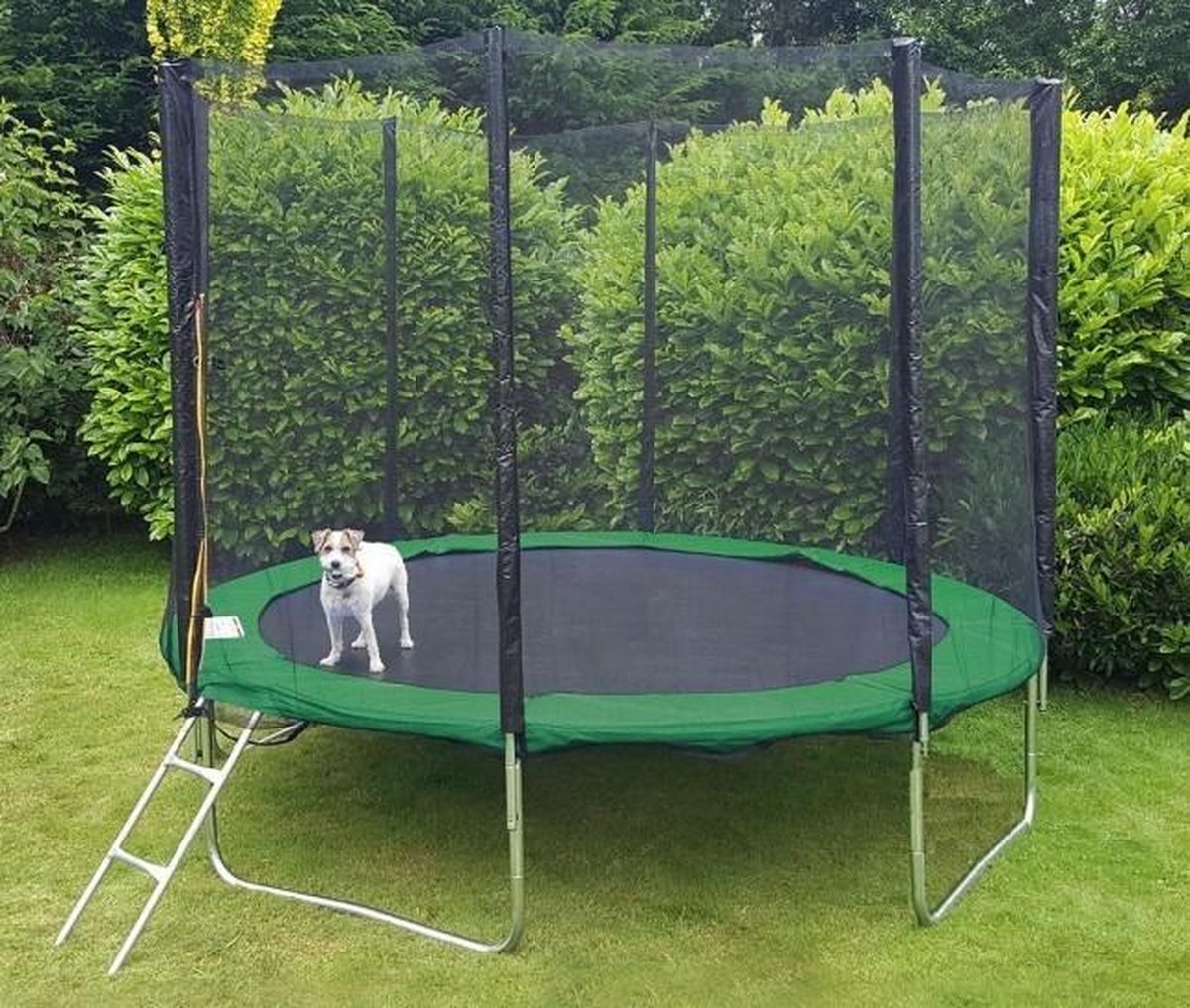 Viking Sports Trampoline 305 cm groen - met veiligheidsnet & ladder - tot 120 kg