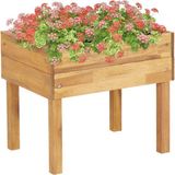 vidaXL Plantenbak Verhoogd - Massief Acaciahout - 50x40x45 cm