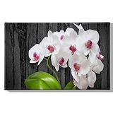 Homemania Wandfoto, bloemen, natuur, voor woonkamer, slaapkamer, meerkleurig, 45 x 3 x 70 cm, HM20KNV45 x 70 – 202, polyester, hout
