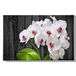 Homemania Wandfoto, bloemen, natuur, voor woonkamer, slaapkamer, meerkleurig, 45 x 3 x 70 cm, HM20KNV45 x 70 – 202, polyester, hout