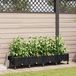 Maison Exclusive - Jardinière pour fleurs avec système d'arrosage et roues, lot de 4, couleur noire, en plastique PP