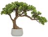 Atmosphera bonsai boom - in keramische pot - 45 cm - kunstplant - groen