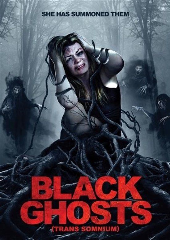 Sonic Rendezvous Black Ghosts (DVD)