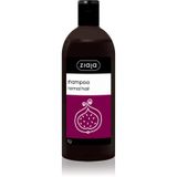 ZIAJA Fig Shampoo 500ml