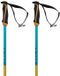 Volkl Phantastick 18mm bâtons Or 125 cm
