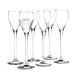 Holmegaard Verre à schnaps Perfection 5,5 cl, lot de 6 Transparent