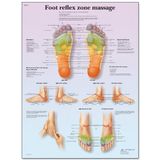 3B Scientific Menselijke anatomie - voetreflexzone massagekaart, gelamineerd