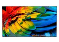 Philips 75HFL6214U / 4K UHD Smart TV / 75 pouces / 2022