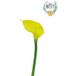 Arum Calla Artificiel, Fleur Touché Réel, H 55 Cm, Jaune