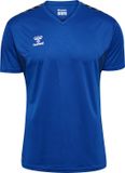 Hummel Hmlauthentic Pl Jersey S/S 219964