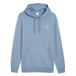 PUMA Heren Class Graphic Hoodie Tr Hoodies (pak van 1)