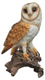Merkloos Decoratieve Uil op Boomstronk - Tuinbeeld Bruin