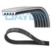 DAYCO Keilrippenriemen 5PK768