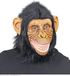 Widmann Masker Chimpansee Aap Met Pluche Haren