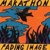 V2 International V2 Fading Image LP
