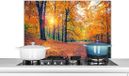 KitchenYeah Spatscherm keuken 80x55 cm - Bomen - Herfst - Aluminium