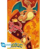 GB Eye Pokémon Fire Starters Poster